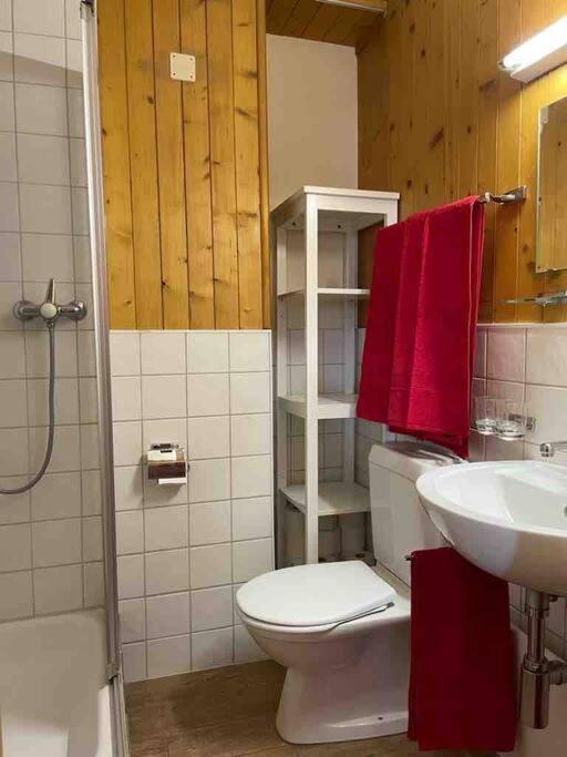 Charmant 2,5 Pieces Avec Jardin A 2 Pas Du Lac Champex-Lac Εξωτερικό φωτογραφία